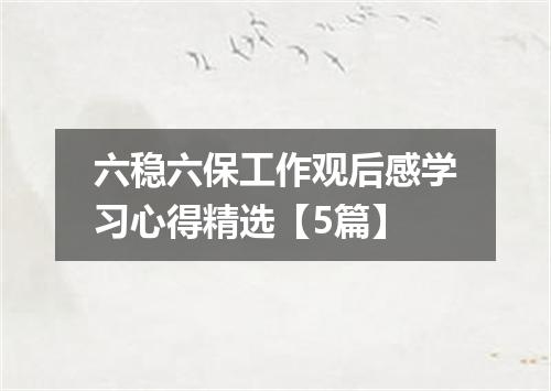 六稳六保工作观后感学习心得精选【5篇】