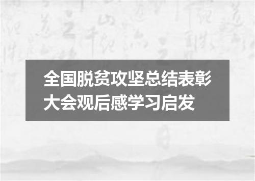 全国脱贫攻坚总结表彰大会观后感学习启发