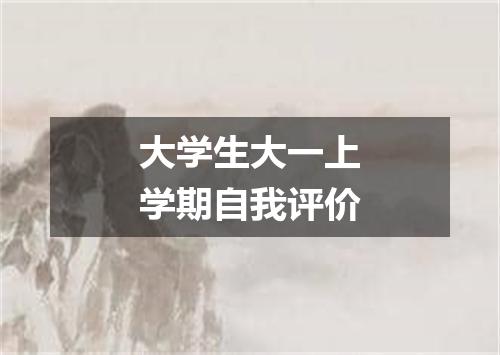 大学生大一上学期自我评价