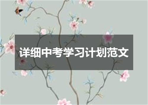 详细中考学习计划范文