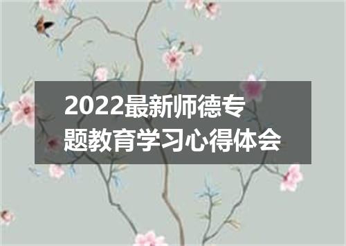 2022最新师德专题教育学习心得体会