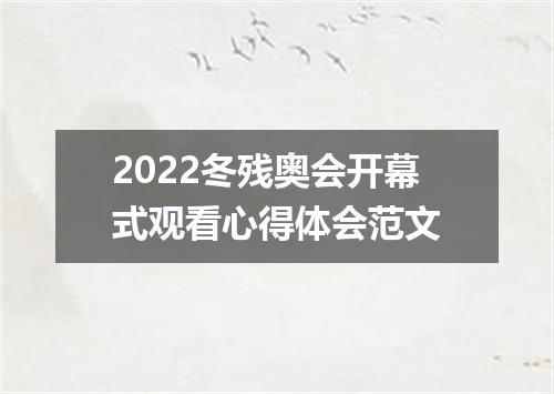 2022冬残奥会开幕式观看心得体会范文