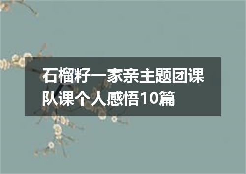 石榴籽一家亲主题团课队课个人感悟10篇