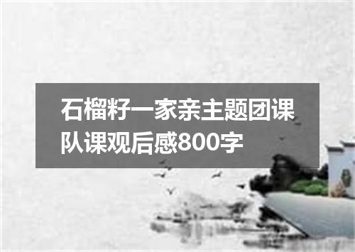 石榴籽一家亲主题团课队课观后感800字