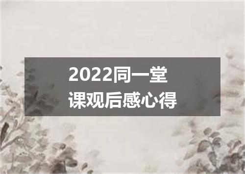 2022同一堂课观后感心得