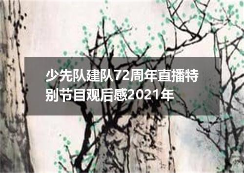 少先队建队72周年直播特别节目观后感2021年