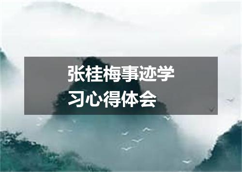 张桂梅事迹学习心得体会