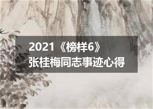 2021《榜样6》张桂梅同志事迹心得