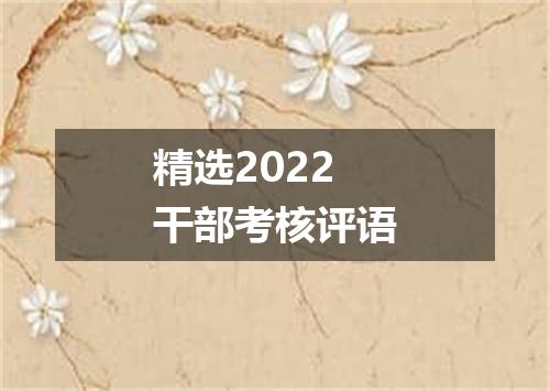 精选2022干部考核评语