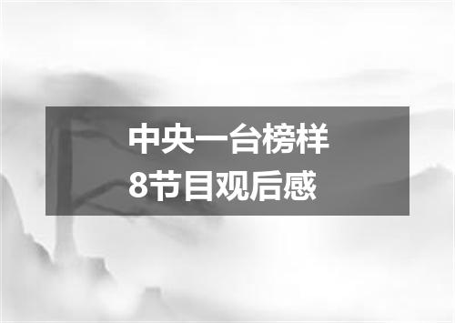 中央一台榜样8节目观后感