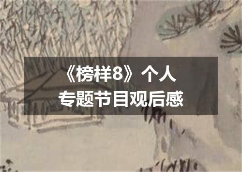 《榜样8》个人专题节目观后感