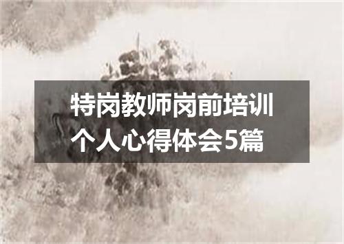 特岗教师岗前培训个人心得体会5篇