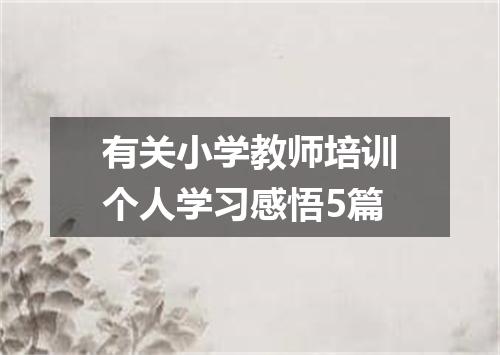 有关小学教师培训个人学习感悟5篇