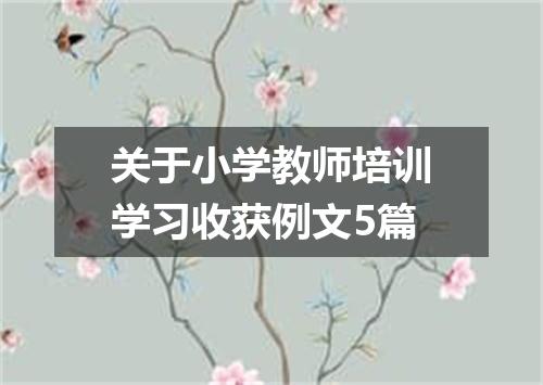 关于小学教师培训学习收获例文5篇
