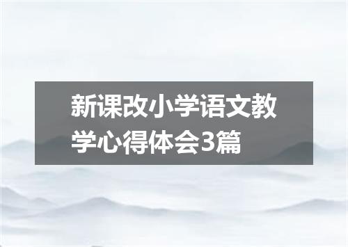 新课改小学语文教学心得体会3篇