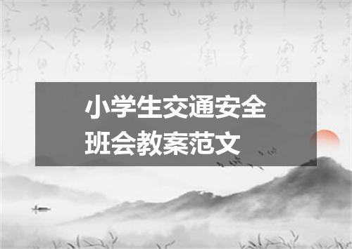 小学生交通安全班会教案范文
