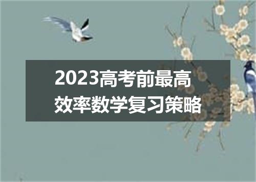 2023高考前最高效率数学复习策略