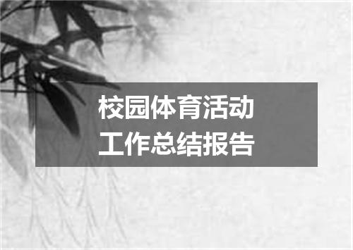 校园体育活动工作总结报告