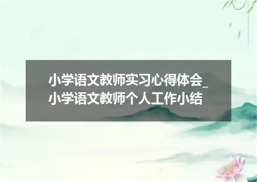 小学语文教师实习心得体会_小学语文教师个人工作小结