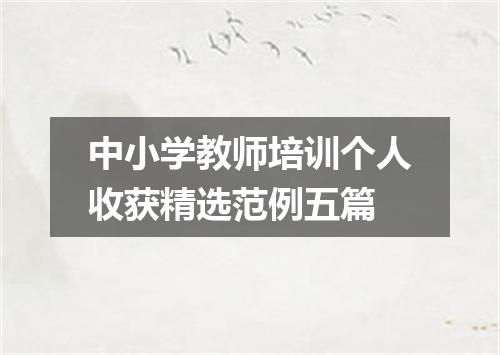 中小学教师培训个人收获精选范例五篇