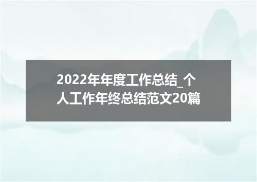 2022年年度工作总结_个人工作年终总结范文20篇