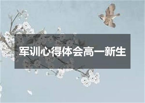 军训心得体会高一新生
