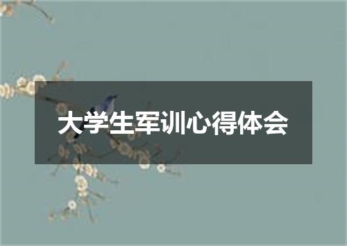 大学生军训心得体会