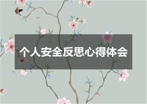 个人安全反思心得体会