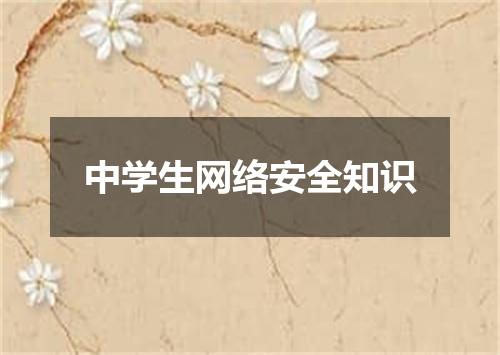 中学生网络安全知识