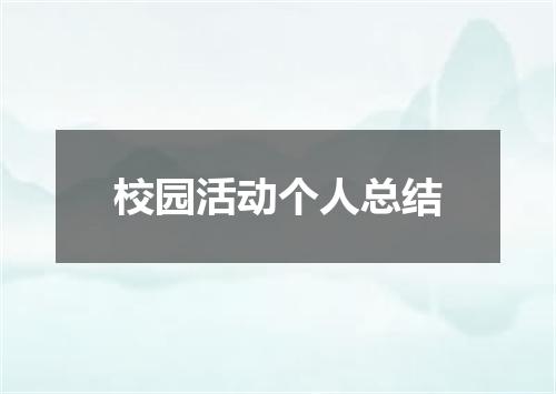 校园活动个人总结