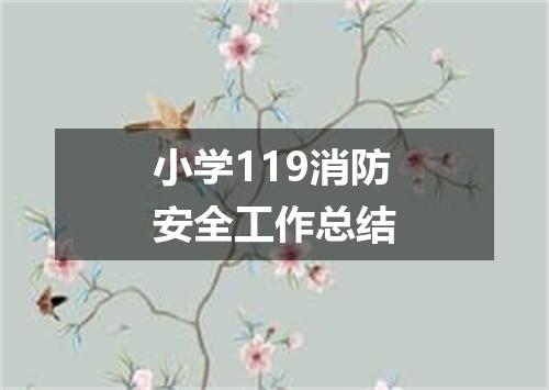 小学119消防安全工作总结