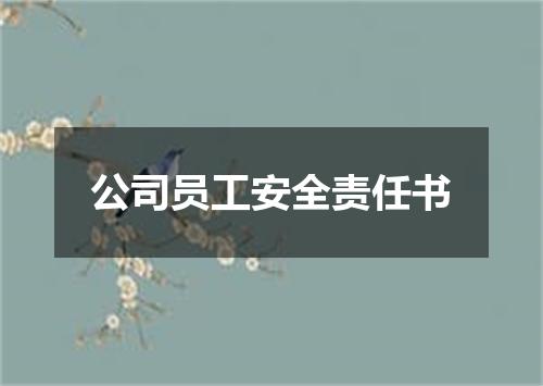 公司员工安全责任书