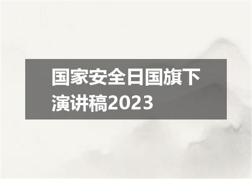 国家安全日国旗下演讲稿2023