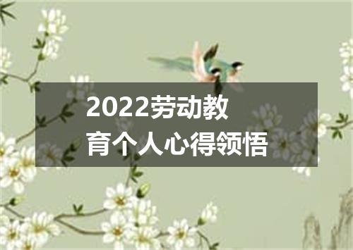 2022劳动教育个人心得领悟