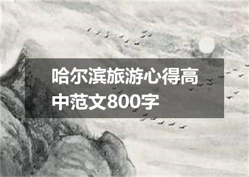 哈尔滨旅游心得高中范文800字