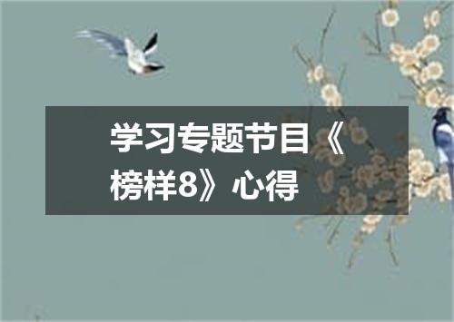 学习专题节目《榜样8》心得