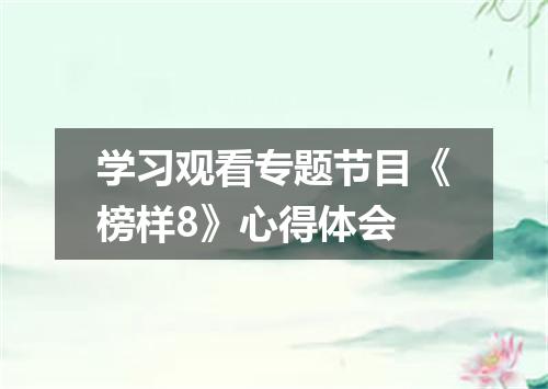 学习观看专题节目《榜样8》心得体会