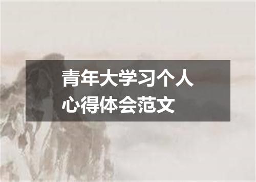 青年大学习个人心得体会范文