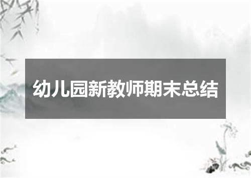 幼儿园新教师期末总结