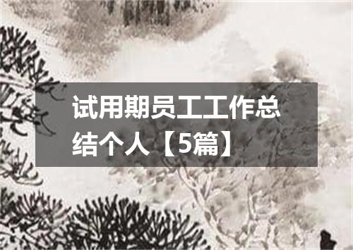 试用期员工工作总结个人【5篇】