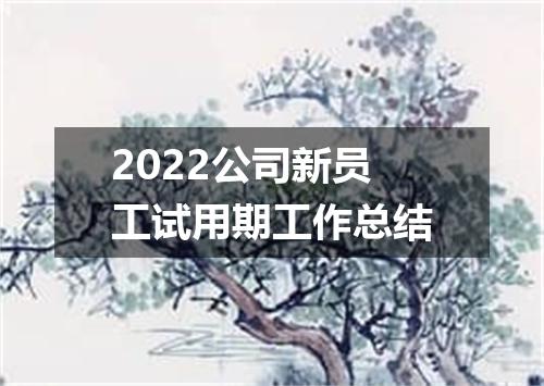 2022公司新员工试用期工作总结