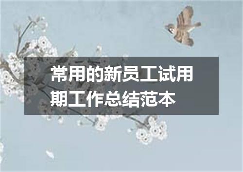 常用的新员工试用期工作总结范本