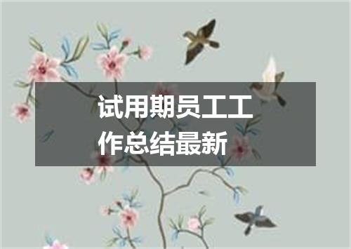 试用期员工工作总结最新
