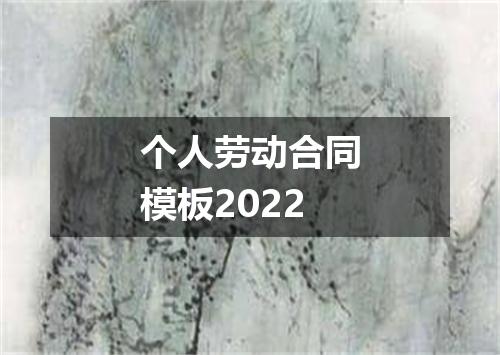 个人劳动合同模板2022