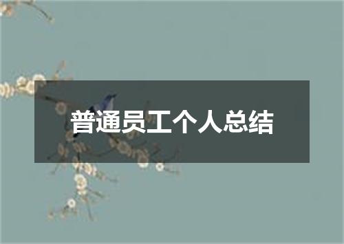 普通员工个人总结