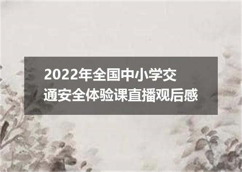 2022年全国中小学交通安全体验课直播观后感
