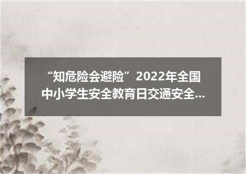 “知危险会避险”2022年全国中小学生安全教育日交通安全体验课观后感