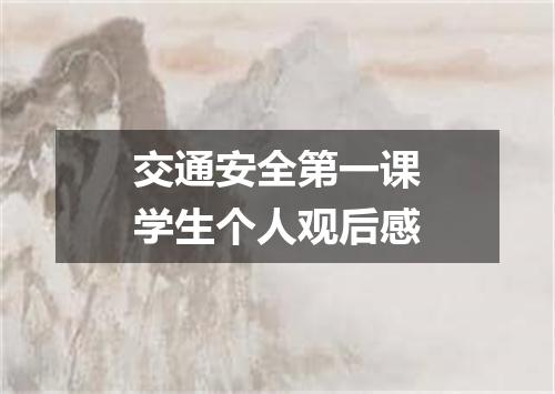 交通安全第一课学生个人观后感