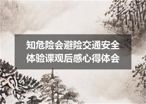 知危险会避险交通安全体验课观后感心得体会