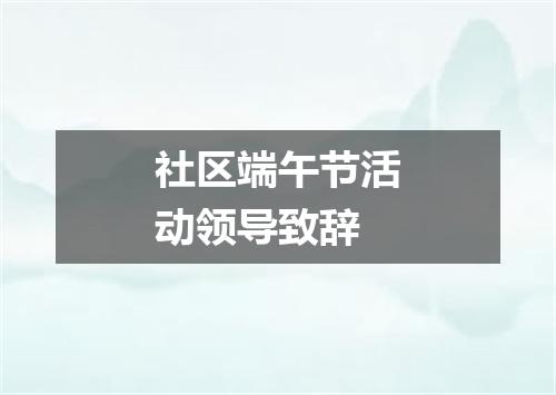 社区端午节活动领导致辞
